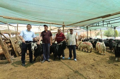 Müdür Bulut’tan kurban uyarısı